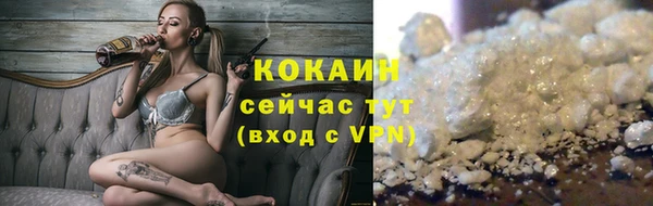 стафф Аркадак