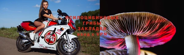 крисы Армянск