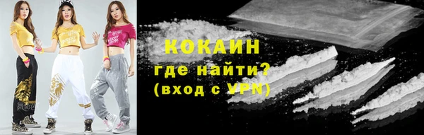 крисы Армянск