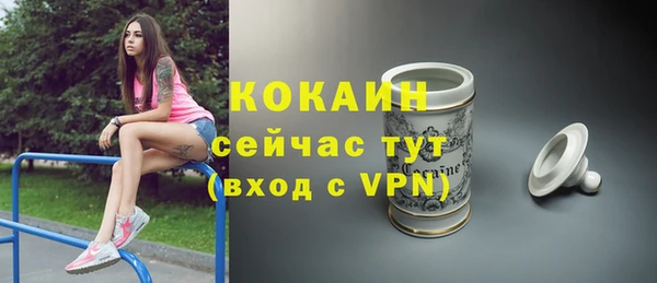 крисы Армянск